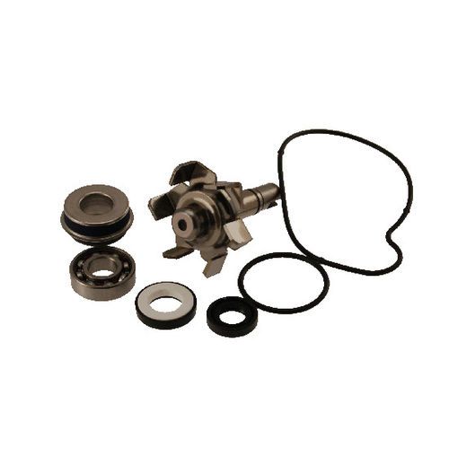 One kit revisione pompa T-MAX 500 2001>2007