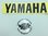 Yamaha emblem for white sw FJ 1200 1986-1992